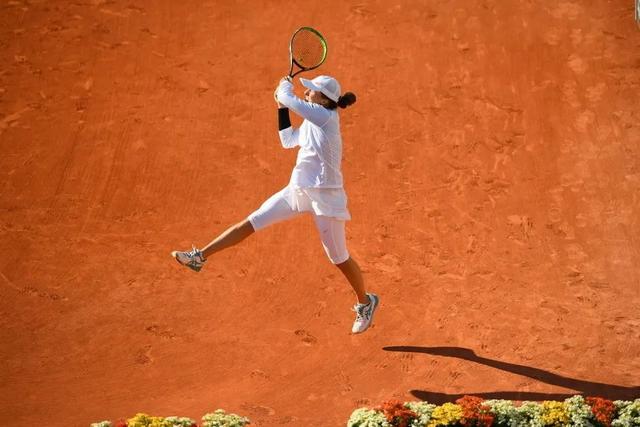 日本女排世 日本女排世